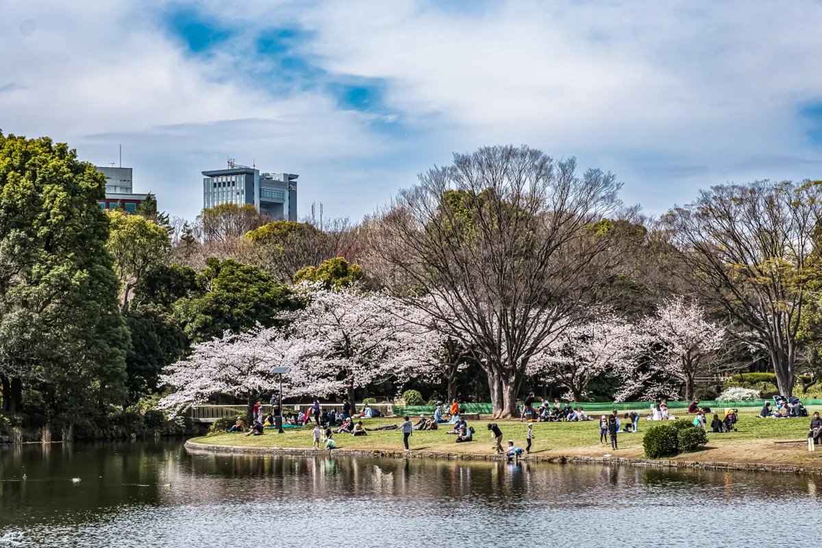 🌳 기타노마루 공원 이미지 8